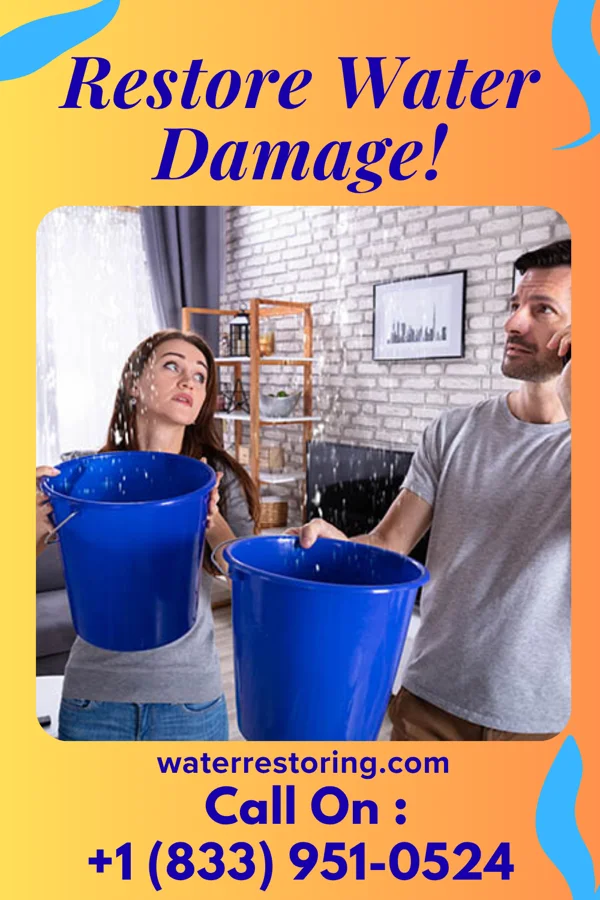 water restoration Reliable Water Restoration Masters Mountain City