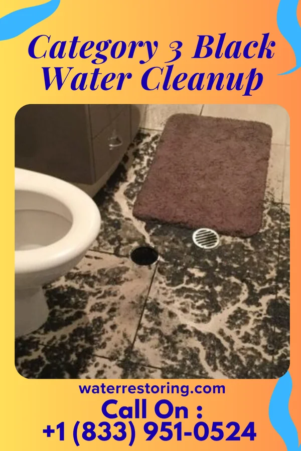 Category 3 Black Water Cleanup in Mountain City, GA