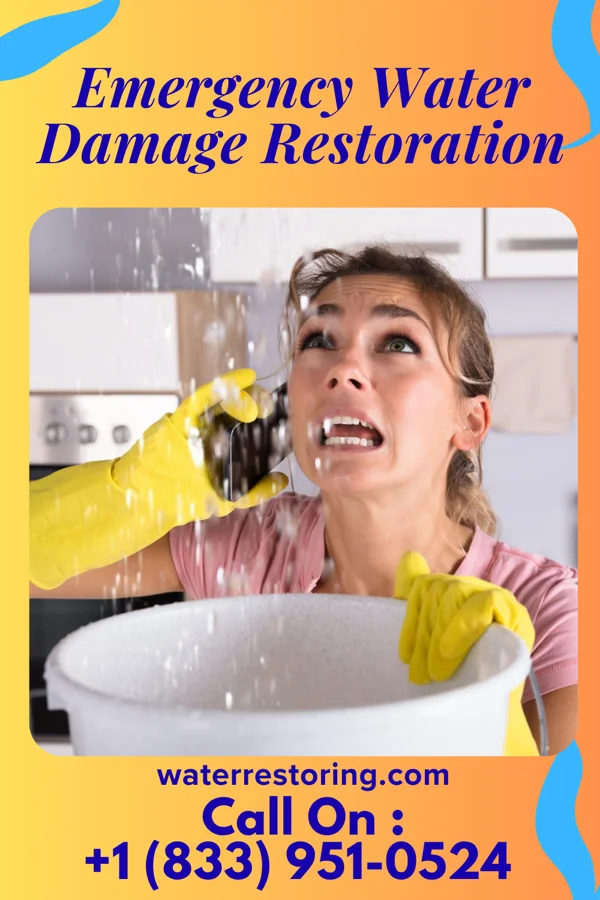 Emergency Water Damage Restoration in Mountain City, GA