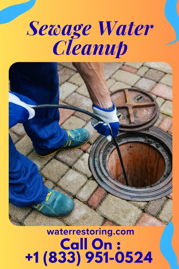 Sewage Water Cleanup in Mountain City, GA
